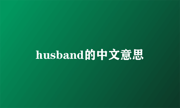 husband的中文意思